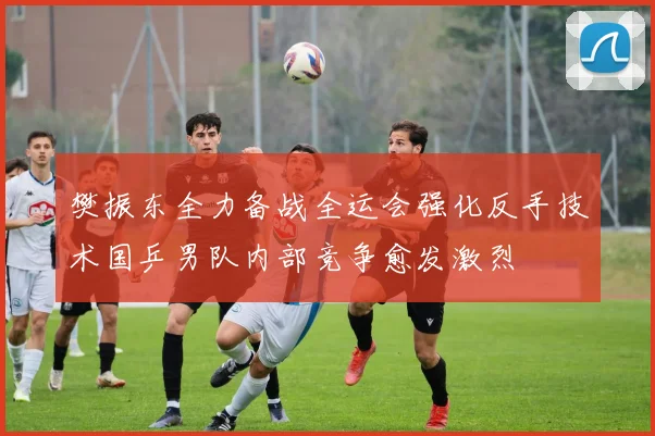 樊振东全力备战全运会强化反手技术国乒男队内部竞争愈发激烈